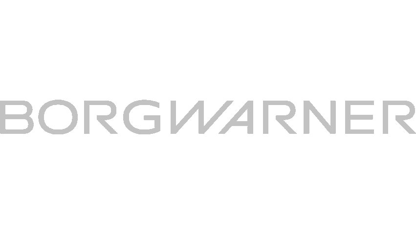 BorgWarner logosu